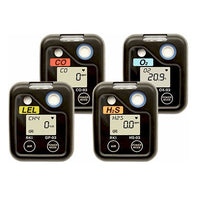 RKI 03 Series Single Gas Detector